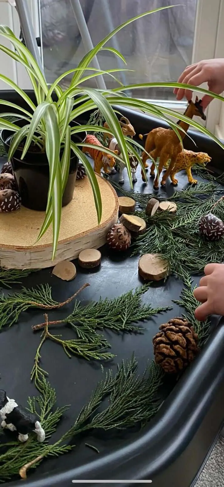 OFSTED registered Childminder in Haddenham, Bucks - Our Activities